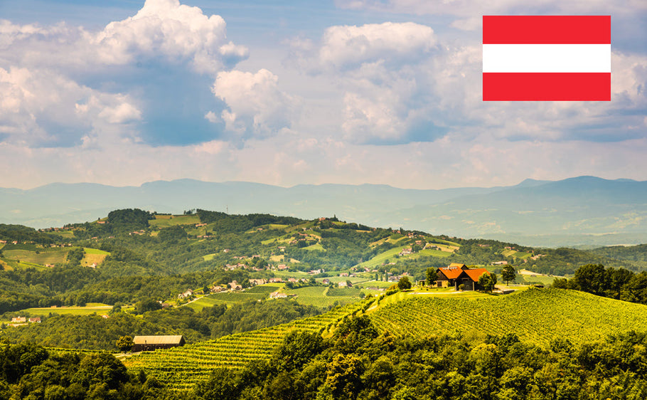 Patente di guida internazionale in Austria