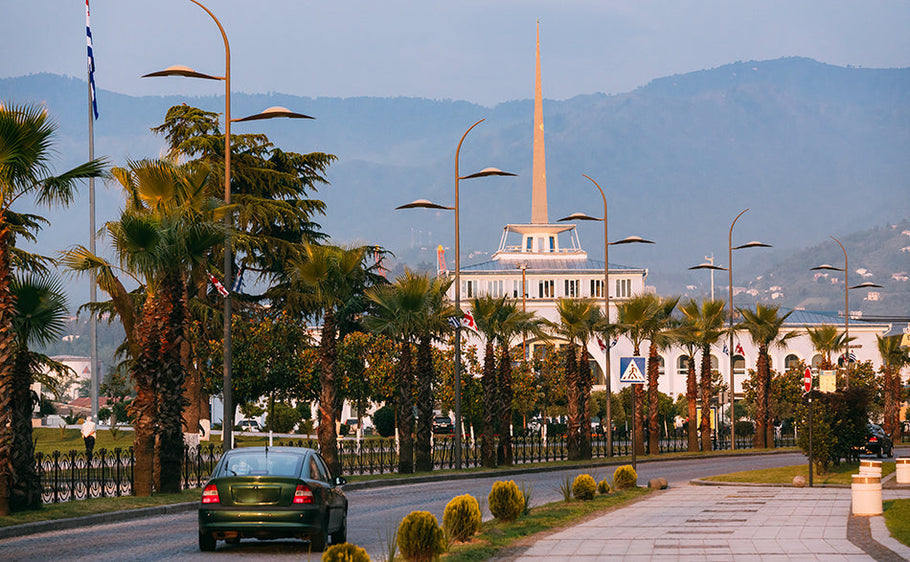 Posso guidare in Georgia con una patente straniera? Ecco tutto quello che c'è da sapere