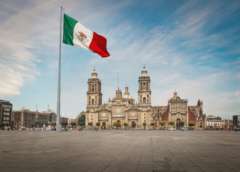 Come ottenere una patente di guida internazionale per viaggiare in Messico